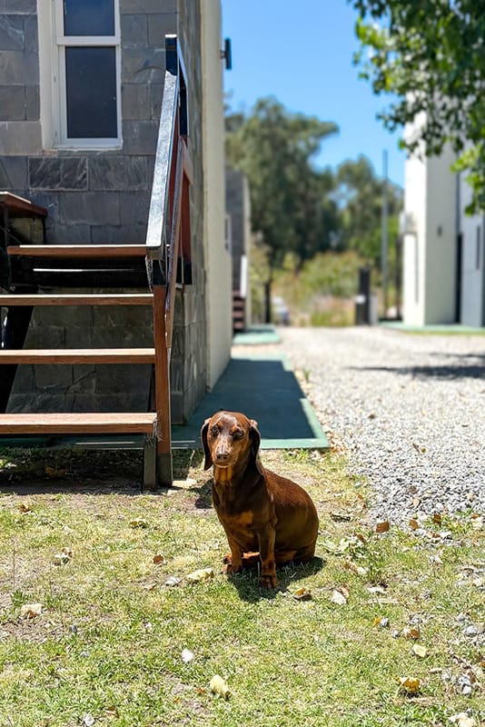 Las_Martinas-Piriápolis-09